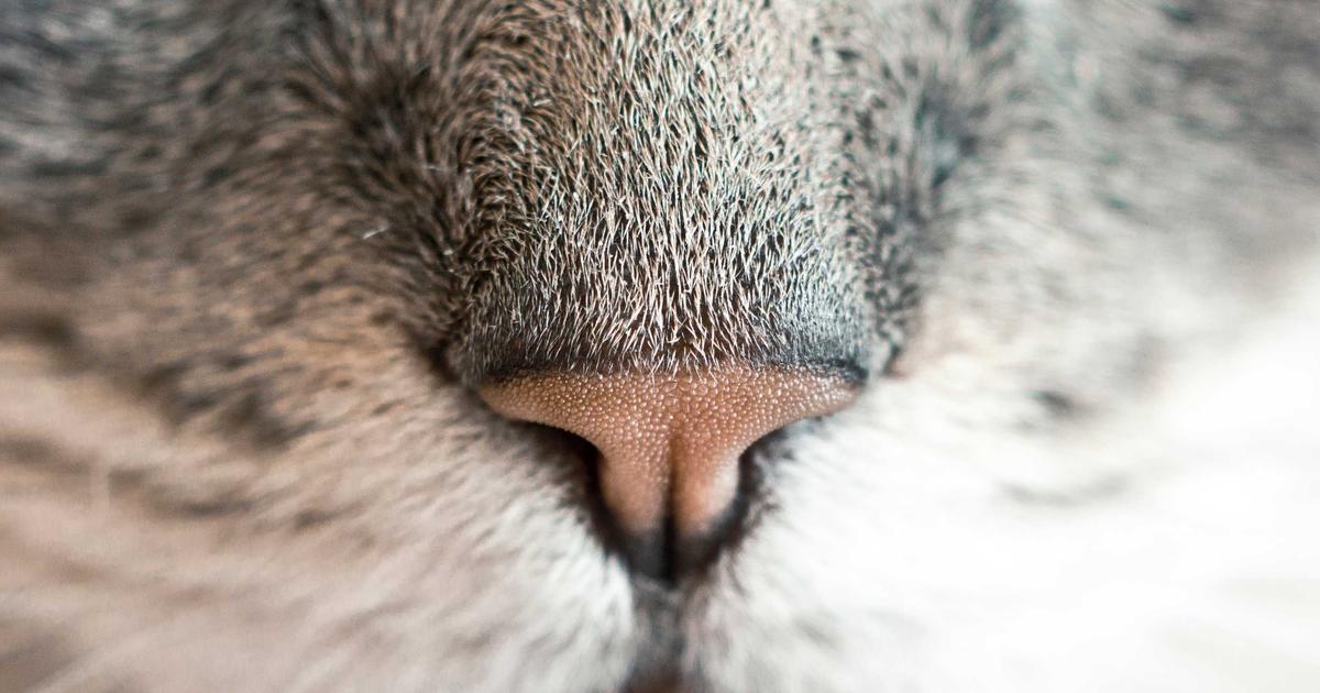 Secure Authentication Methods in 2026