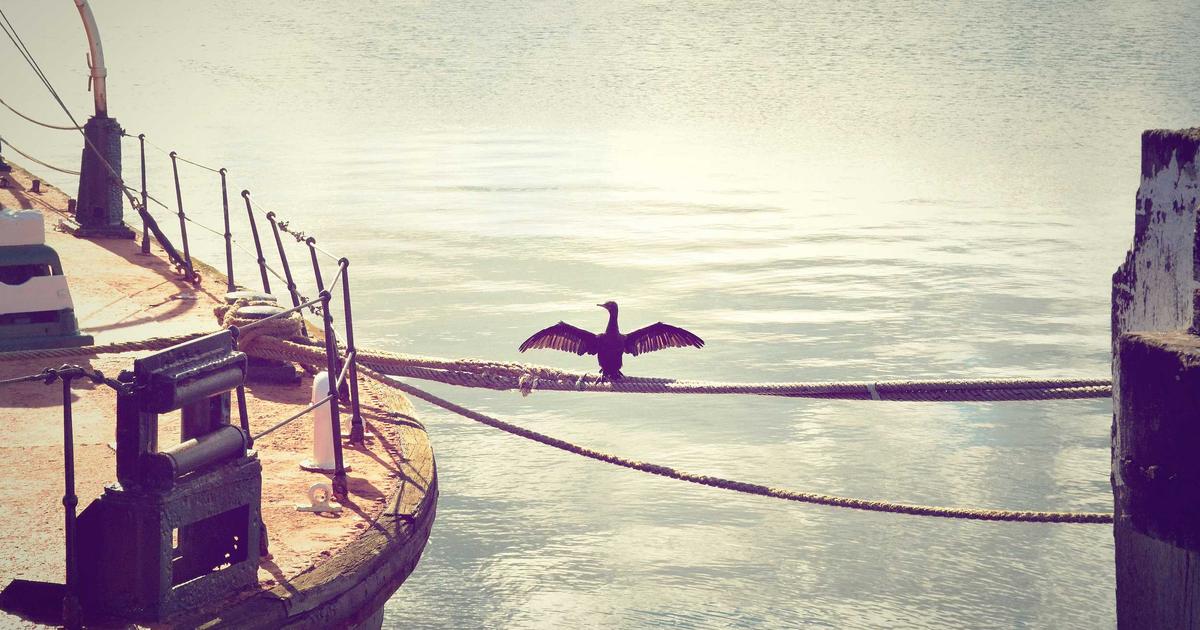 Data Encryption Best Practices