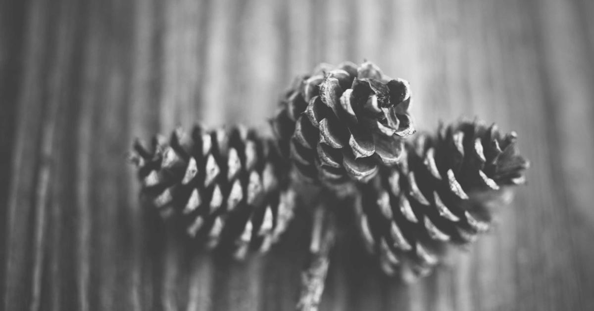 Ethical AI: Considerations for Developers