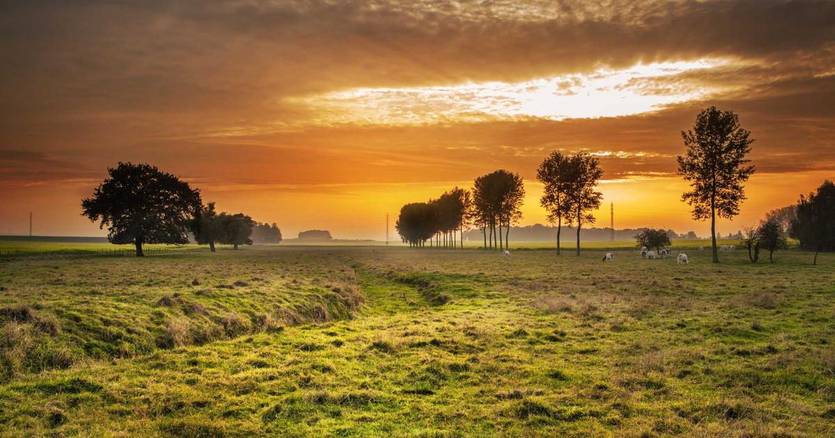 Computer Vision in Business Applications