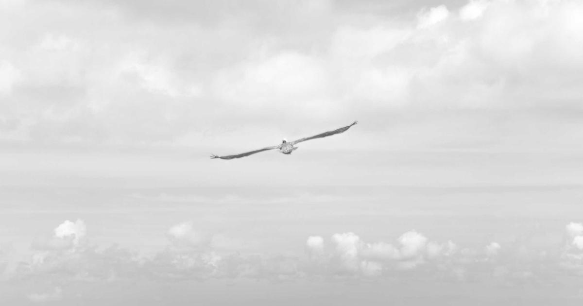 Introduction to Machine Learning for Developers