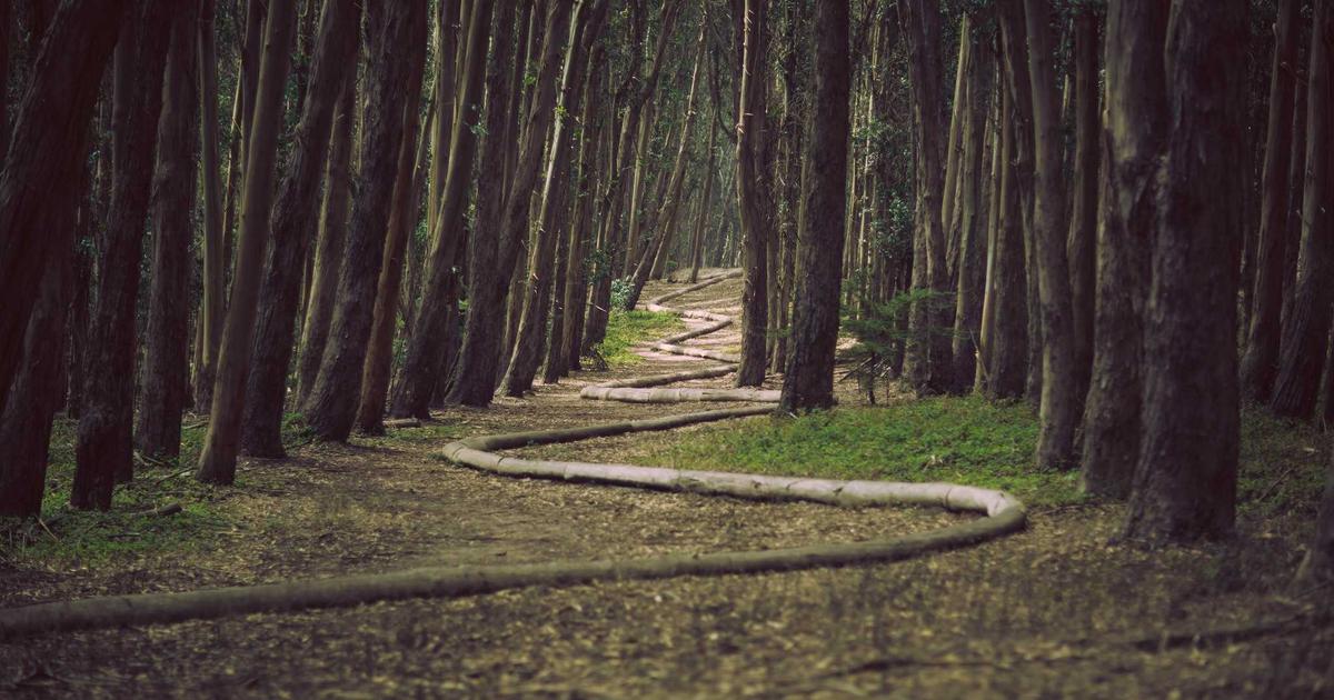 Kubernetes Orchestration Explained