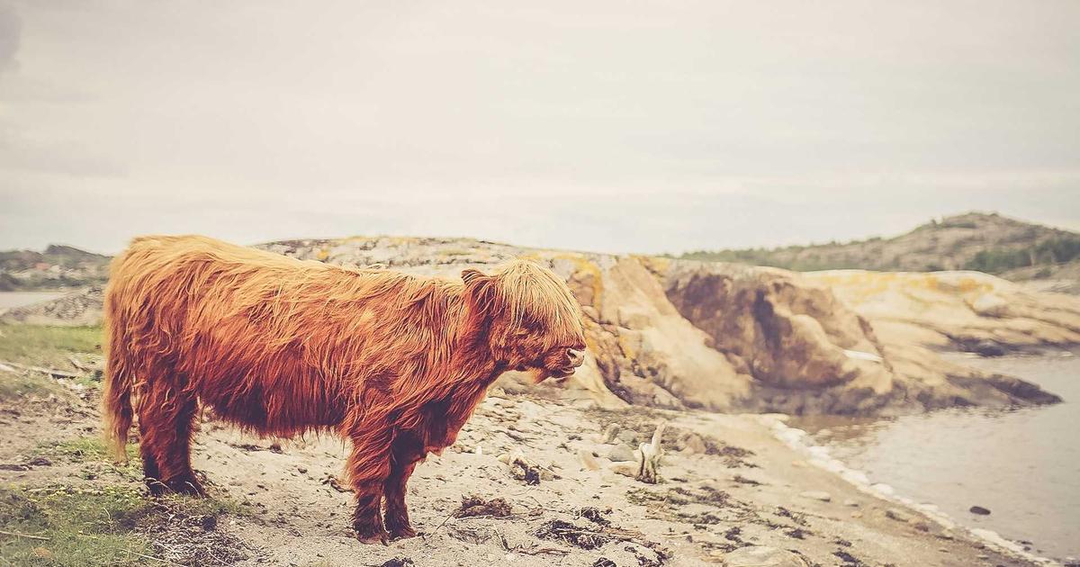 Docker Containerization for Beginners