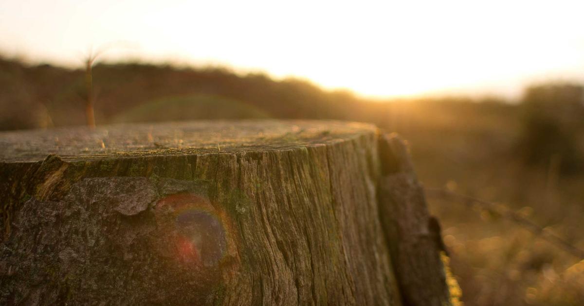 Serverless Architecture: Benefits and Use Cases