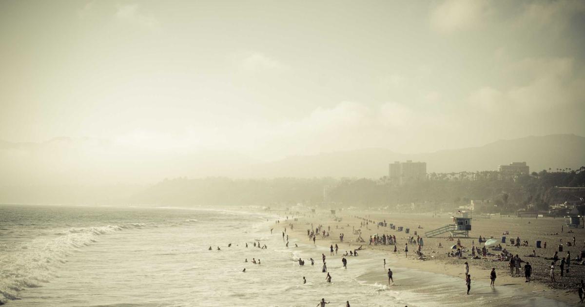 Business Process Automation with Low-Code Platforms